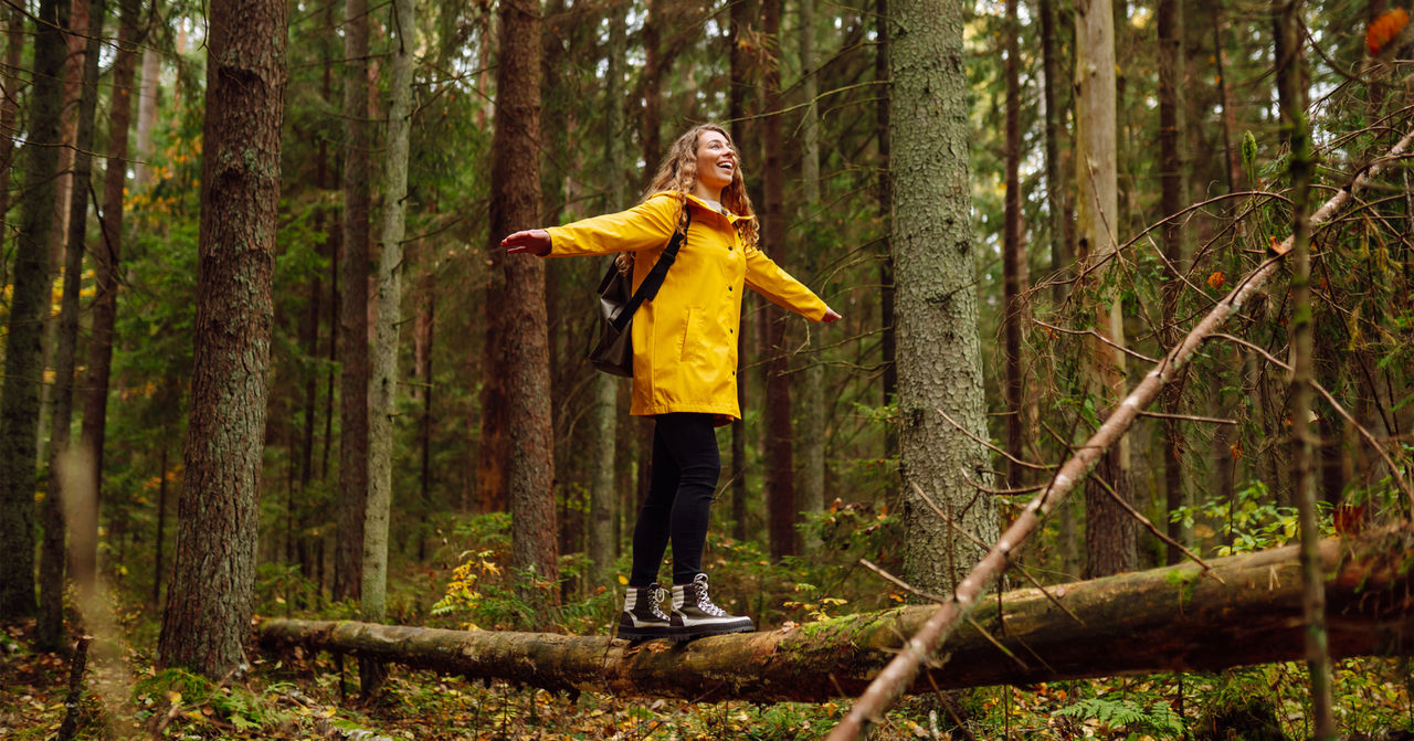 Forest Bathing