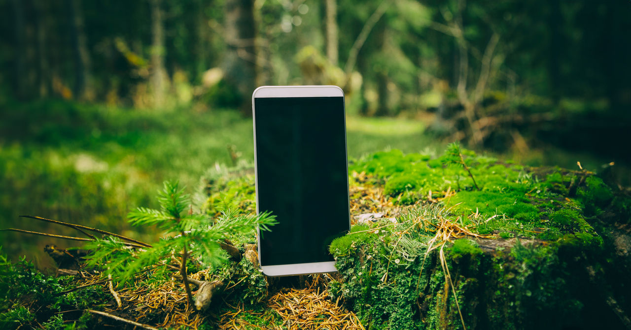 Smartphone nella natura