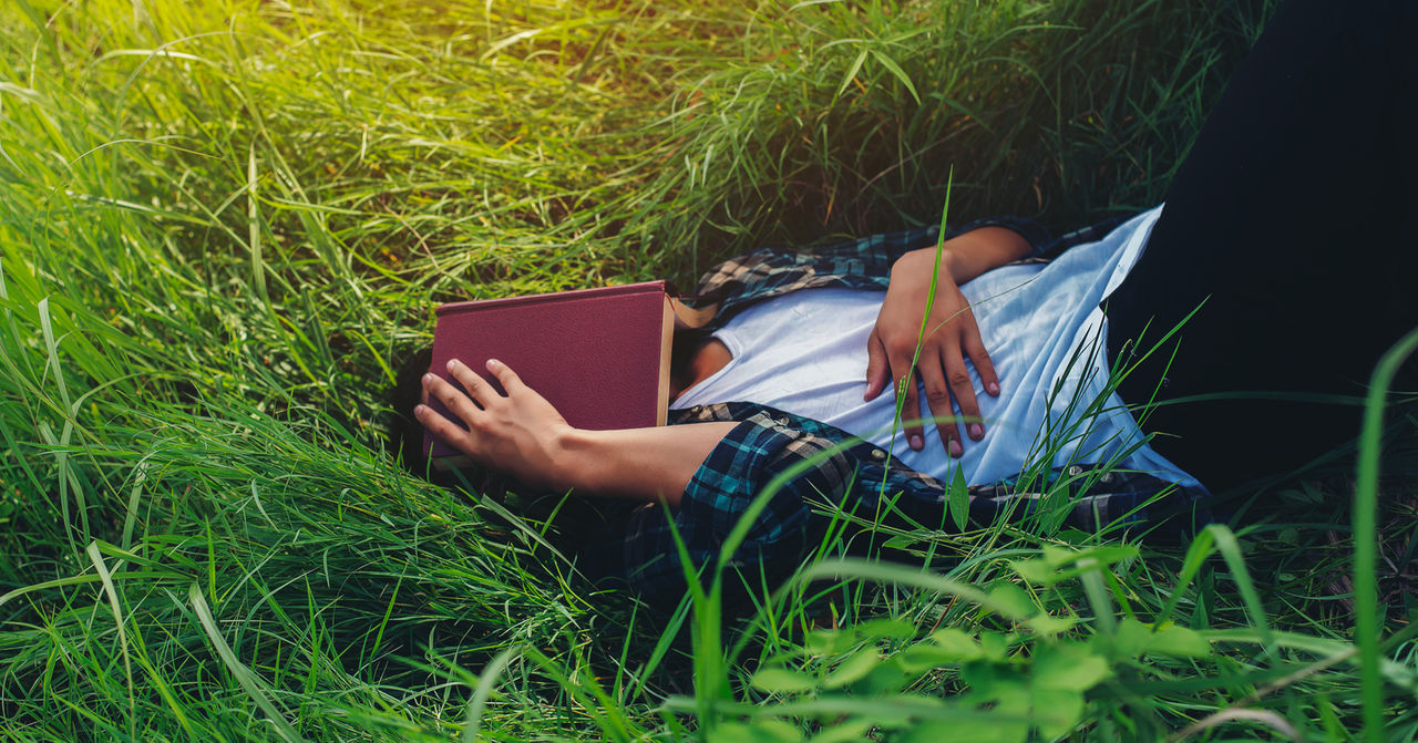 prato ragazzo lettura 